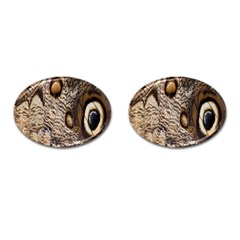 Butterfly Wing Detail Cufflinks (oval) by Nexatart