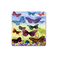 Butterfly Painting Art Graphic Square Magnet by Nexatart