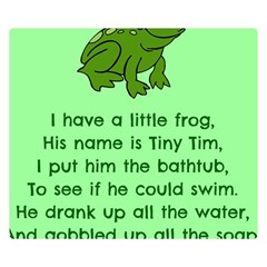 Little Frog Poem Double Sided Flano Blanket (small)  by athenastemple