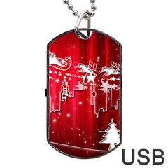 City Nicholas Reindeer View Dog Tag Usb Flash (two Sides) by Nexatart