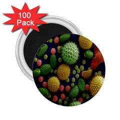 Colorized Pollen Macro View 2 25  Magnets (100 Pack)  by Nexatart