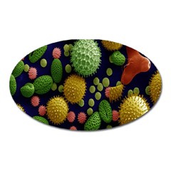 Colorized Pollen Macro View Oval Magnet by Nexatart