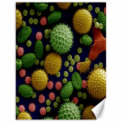 Colorized Pollen Macro View Canvas 12  X 16   by Nexatart