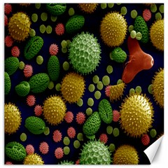 Colorized Pollen Macro View Canvas 16  X 16   by Nexatart