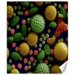 Colorized Pollen Macro View Canvas 20  X 24   by Nexatart