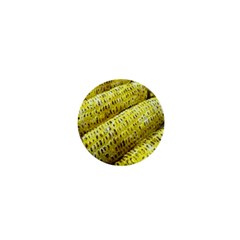 Corn Grilled Corn Cob Maize Cob 1  Mini Magnets