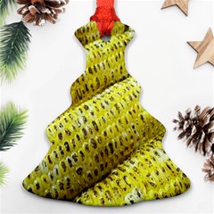 Corn Grilled Corn Cob Maize Cob Ornament (christmas Tree)  by Nexatart