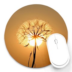 Dandelion Sun Dew Water Plants Round Mousepads by Nexatart