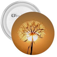 Dandelion Sun Dew Water Plants 3  Buttons by Nexatart