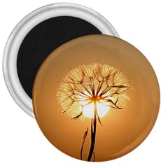 Dandelion Sun Dew Water Plants 3  Magnets by Nexatart