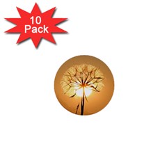 Dandelion Sun Dew Water Plants 1  Mini Buttons (10 Pack)  by Nexatart