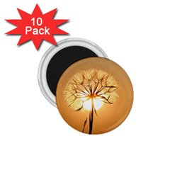 Dandelion Sun Dew Water Plants 1 75  Magnets (10 Pack)  by Nexatart