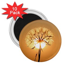 Dandelion Sun Dew Water Plants 2 25  Magnets (10 Pack)  by Nexatart