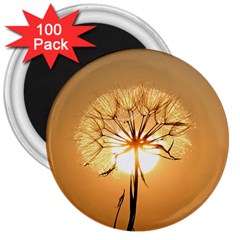 Dandelion Sun Dew Water Plants 3  Magnets (100 Pack) by Nexatart