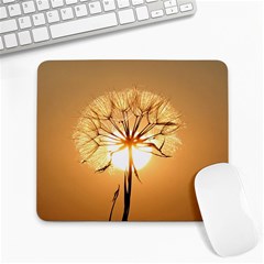 Dandelion Sun Dew Water Plants Large Mousepads by Nexatart