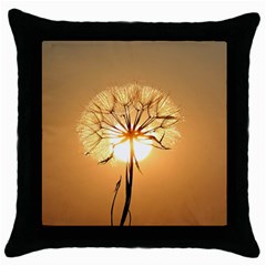 Dandelion Sun Dew Water Plants Throw Pillow Case (black) by Nexatart