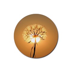 Dandelion Sun Dew Water Plants Rubber Round Coaster (4 Pack)  by Nexatart