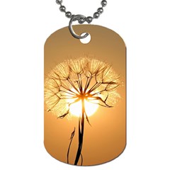 Dandelion Sun Dew Water Plants Dog Tag (two Sides) by Nexatart