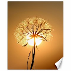 Dandelion Sun Dew Water Plants Canvas 16  X 20   by Nexatart