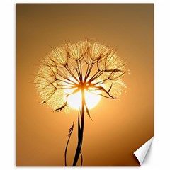 Dandelion Sun Dew Water Plants Canvas 20  X 24   by Nexatart