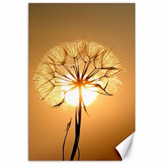 Dandelion Sun Dew Water Plants Canvas 20  X 30  