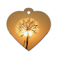 Dandelion Sun Dew Water Plants Dog Tag Heart (two Sides) by Nexatart