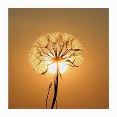 Dandelion Sun Dew Water Plants Medium Glasses Cloth by Nexatart