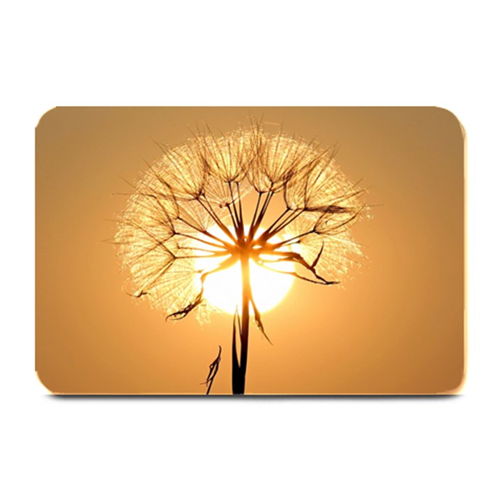 Dandelion Sun Dew Water Plants Plate Mats