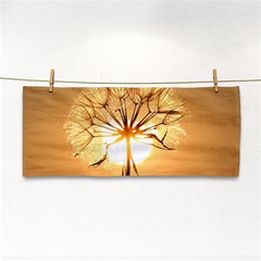 Dandelion Sun Dew Water Plants Cosmetic Storage Cases by Nexatart