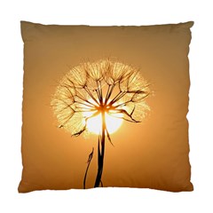 Dandelion Sun Dew Water Plants Standard Cushion Case (two Sides) by Nexatart