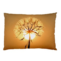 Dandelion Sun Dew Water Plants Pillow Case by Nexatart