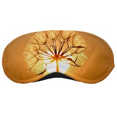 Dandelion Sun Dew Water Plants Sleeping Masks by Nexatart