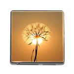 Dandelion Sun Dew Water Plants Memory Card Reader (Square) Front