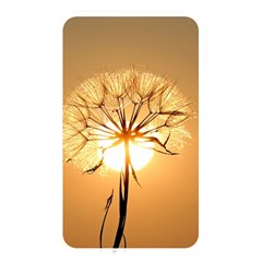 Dandelion Sun Dew Water Plants Memory Card Reader by Nexatart