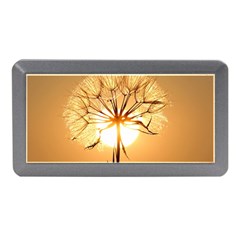 Dandelion Sun Dew Water Plants Memory Card Reader (mini) by Nexatart