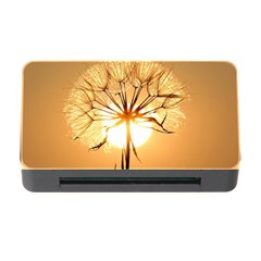 Dandelion Sun Dew Water Plants Memory Card Reader With Cf by Nexatart