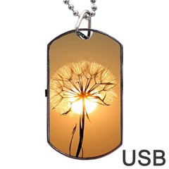 Dandelion Sun Dew Water Plants Dog Tag Usb Flash (one Side) by Nexatart