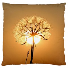 Dandelion Sun Dew Water Plants Large Cushion Case (one Side) by Nexatart