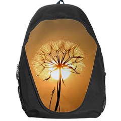 Dandelion Sun Dew Water Plants Backpack Bag by Nexatart