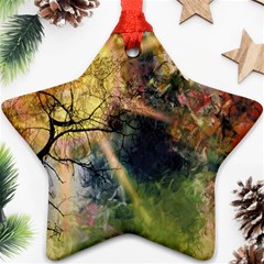 Decoration Decorative Art Artwork Star Ornament (two Sides) by Nexatart