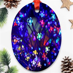 Decorative Flower Shaped Led Lights Ornament (Oval)