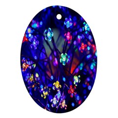 Decorative Flower Shaped Led Lights Oval Ornament (Two Sides)