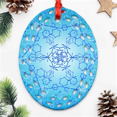 Design Winter Snowflake Decoration Oval Filigree Ornament (two Sides) by Nexatart