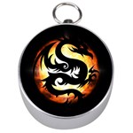 Dragon Fire Monster Creature Silver Compasses Front