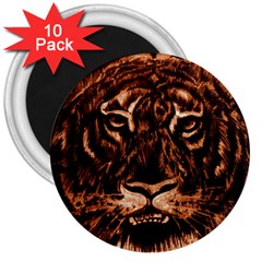 Eye Of The Tiger 3  Magnets (10 Pack) 