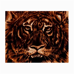 Eye Of The Tiger Small Glasses Cloth (2-side)