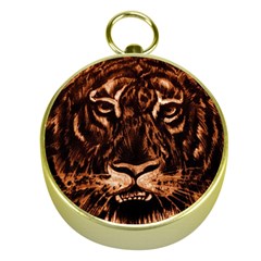 Eye Of The Tiger Gold Compasses