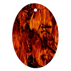 Fire Easter Easter Fire Flame Ornament (oval)