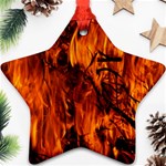 Fire Easter Easter Fire Flame Ornament (Star) Front