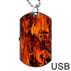 Fire Easter Easter Fire Flame Dog Tag Usb Flash (one Side) by Nexatart